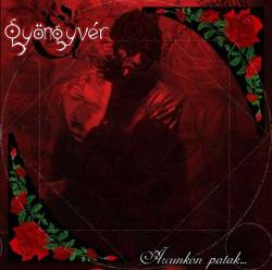 Gyöngyvér : Arcunkon patak Gyöngyvér : Arcunkon patak